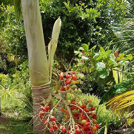 Kaye Mango Villa Soufriere Exterior photo